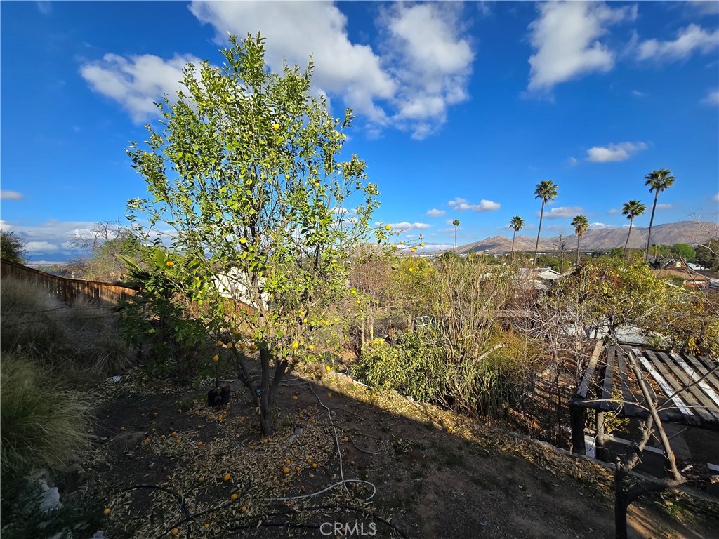 2789 Fairmount Boulevard Property Photo 71