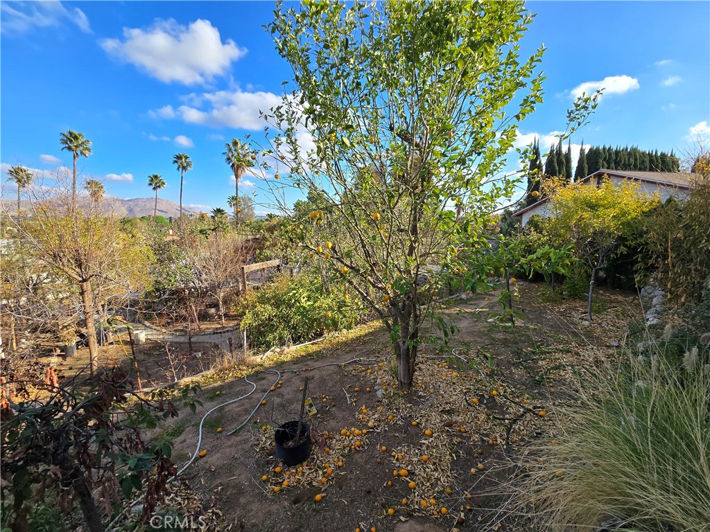 2789 Fairmount Boulevard Property Photo 73