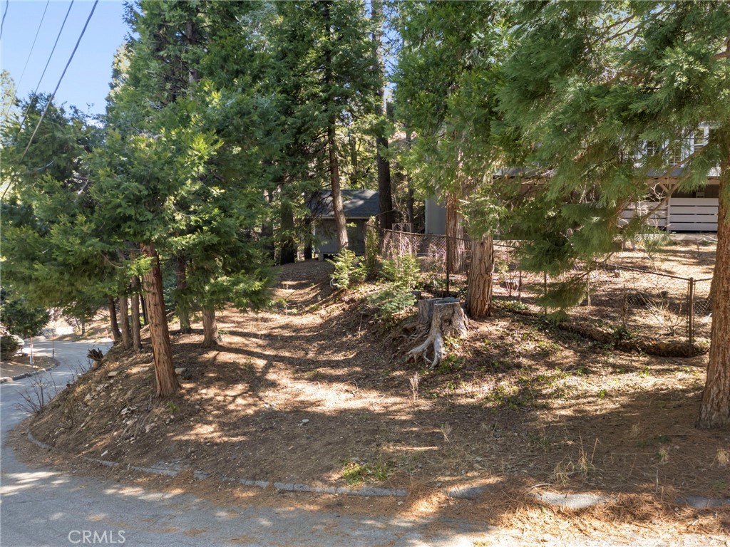 28830 Potomac Drive Property Photo 38