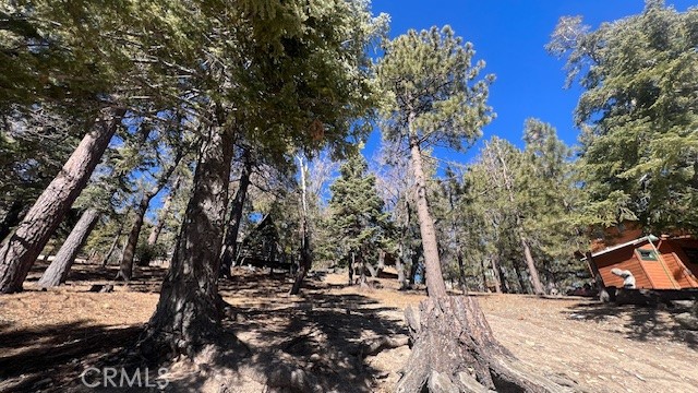 33112 Juniper Lane Property Photo