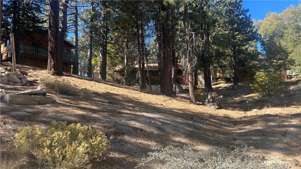 33275 Iris Drive Property Photo 5