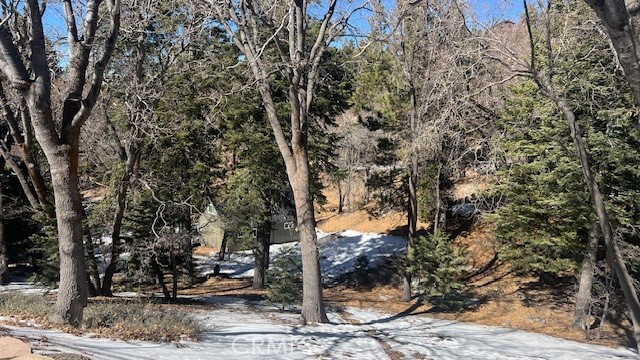 736 Dahlia Drive Property Photo