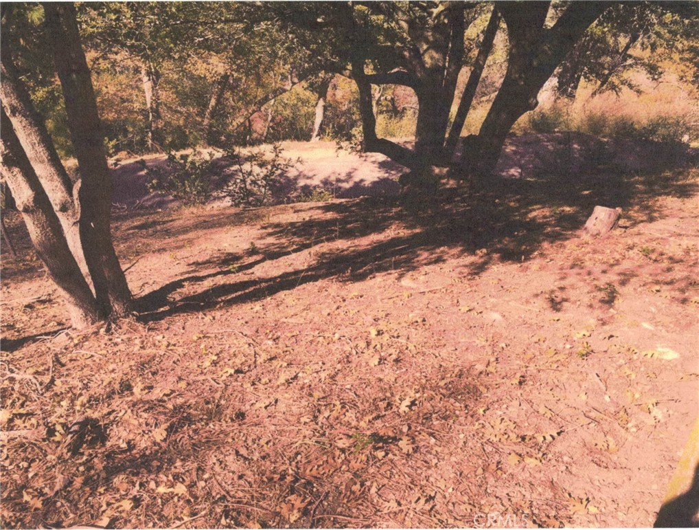 1169 Brentwood Drive Property Photo 1