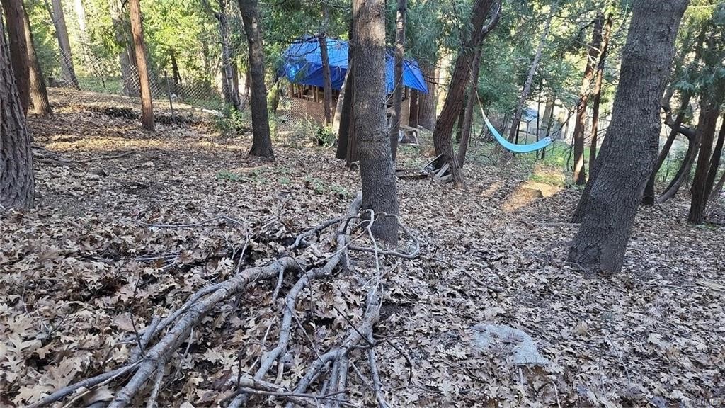 0 Bowl Road Property Photo 3