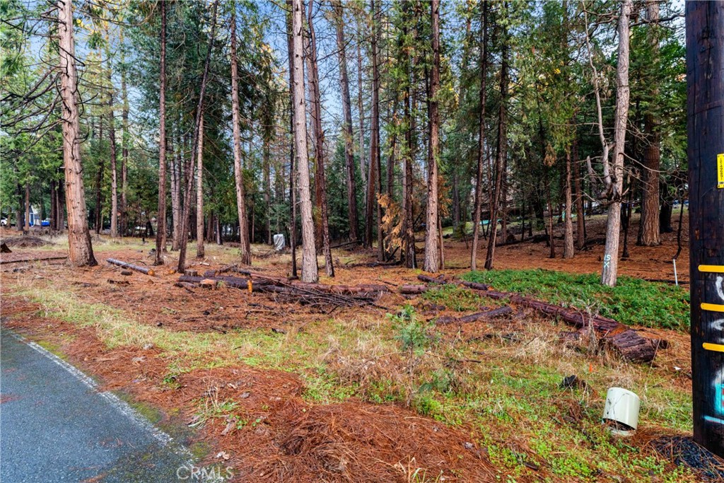 1 Old Madrone Road Property Photo