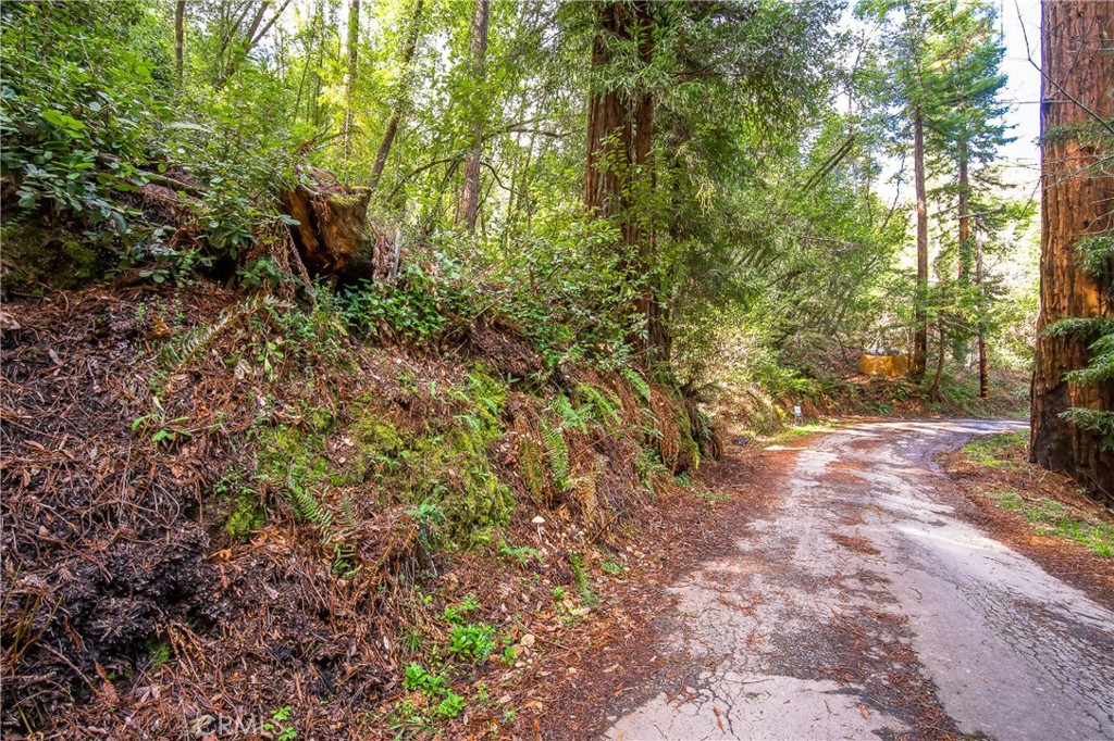 Cazadero Real Estate Listings Main Image
