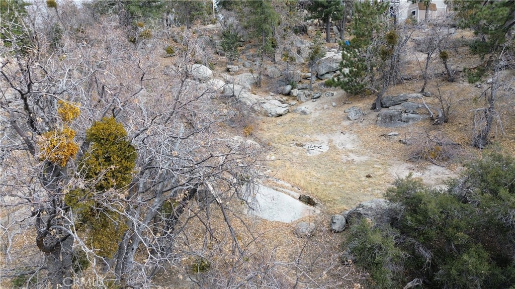 0 Bear Drive Property Photo 1