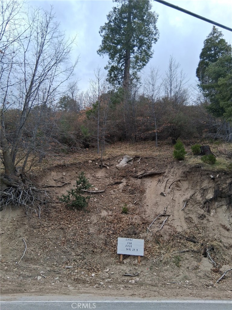 29602 Hook Creek Road Property Photo