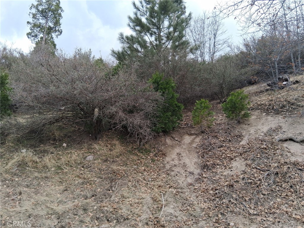29602 Hook Creek Road Property Photo 1