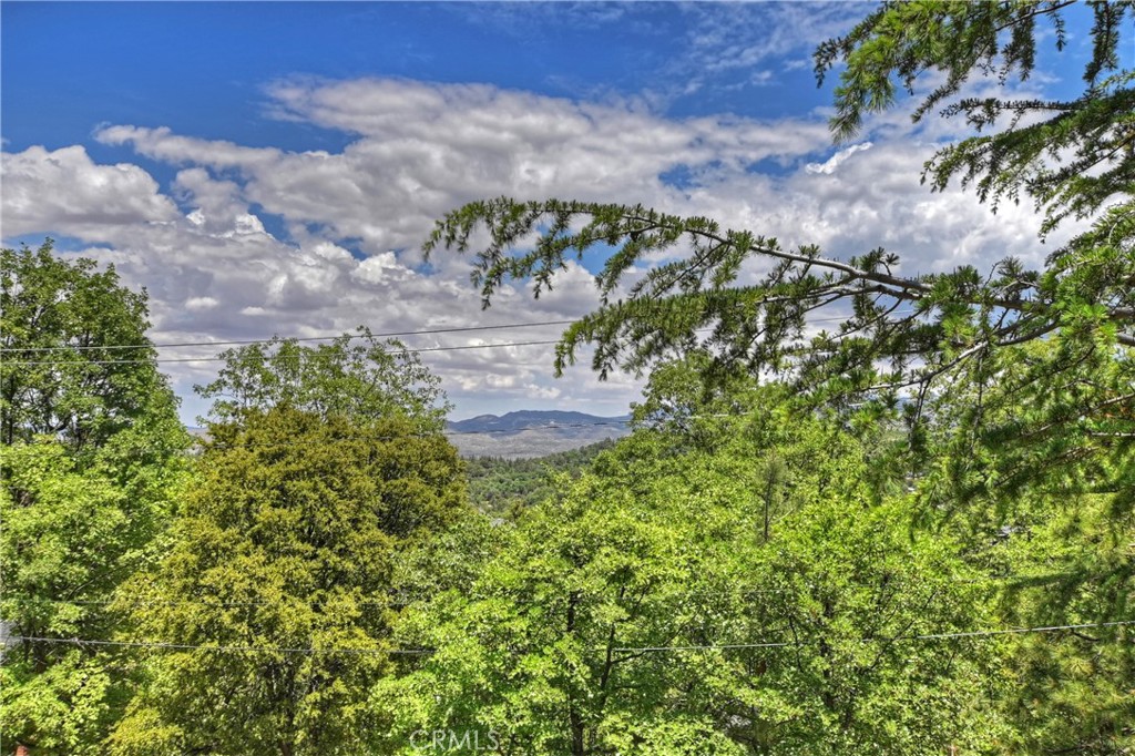 1361 St Anton Drive Property Photo 34