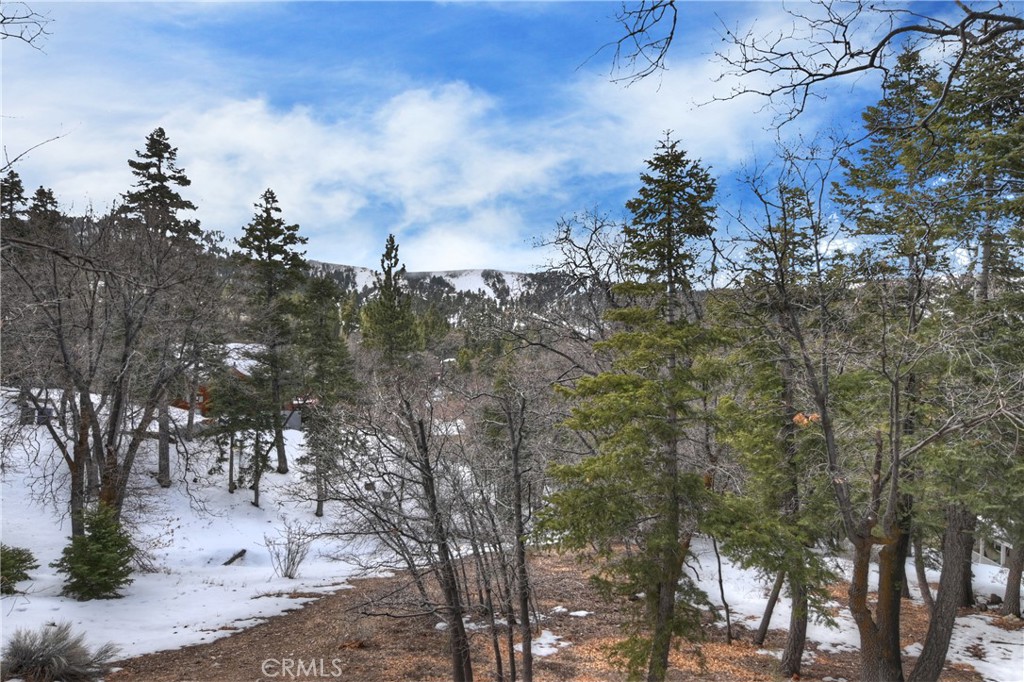 43517 Ridge Crest Drive Property Photo 19