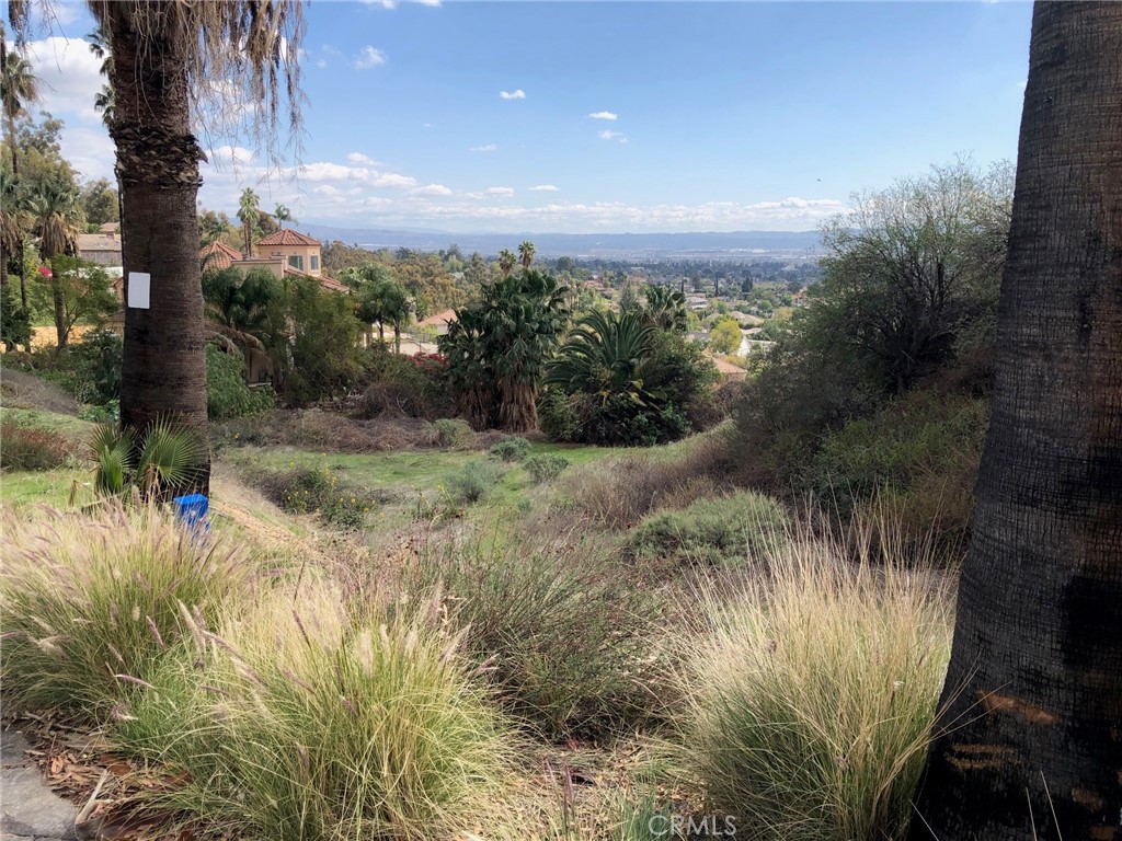 0 Quail Court Property Photo 10