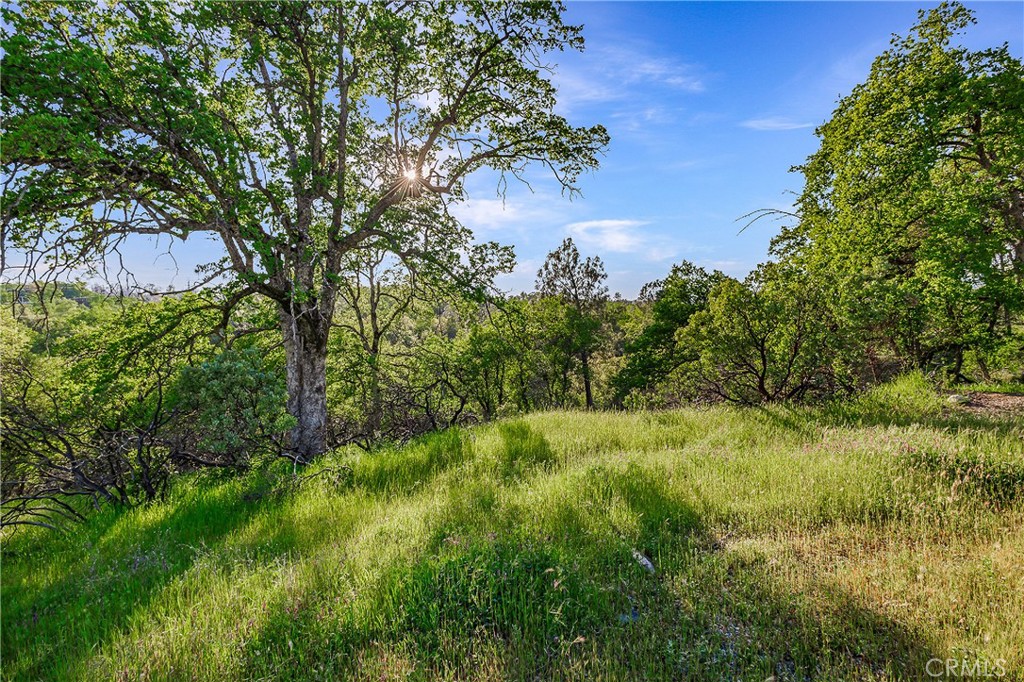 166 Quartz Hill Road Property Photo