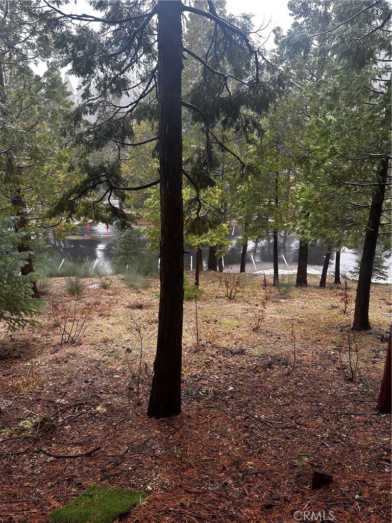 180 Grass Valley Road Property Photo 4