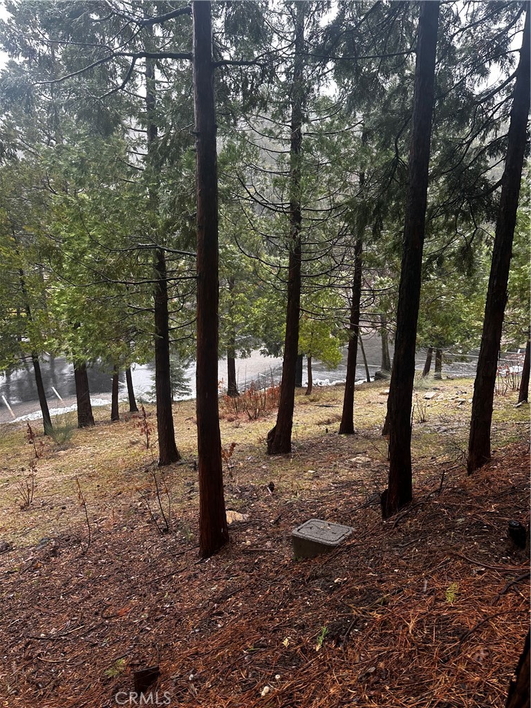 180 Grass Valley Road Property Photo 5