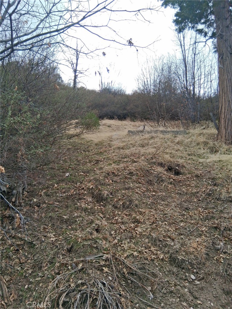 0 Pine Drive Property Photo
