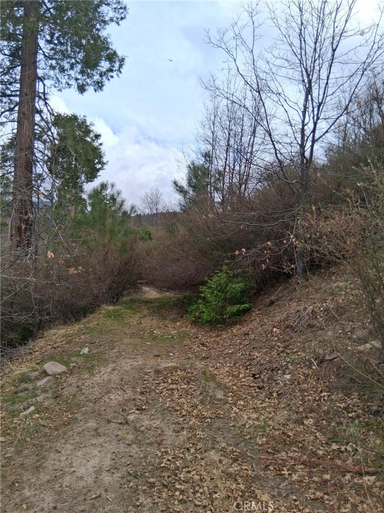 0 Pine Drive Property Photo 3