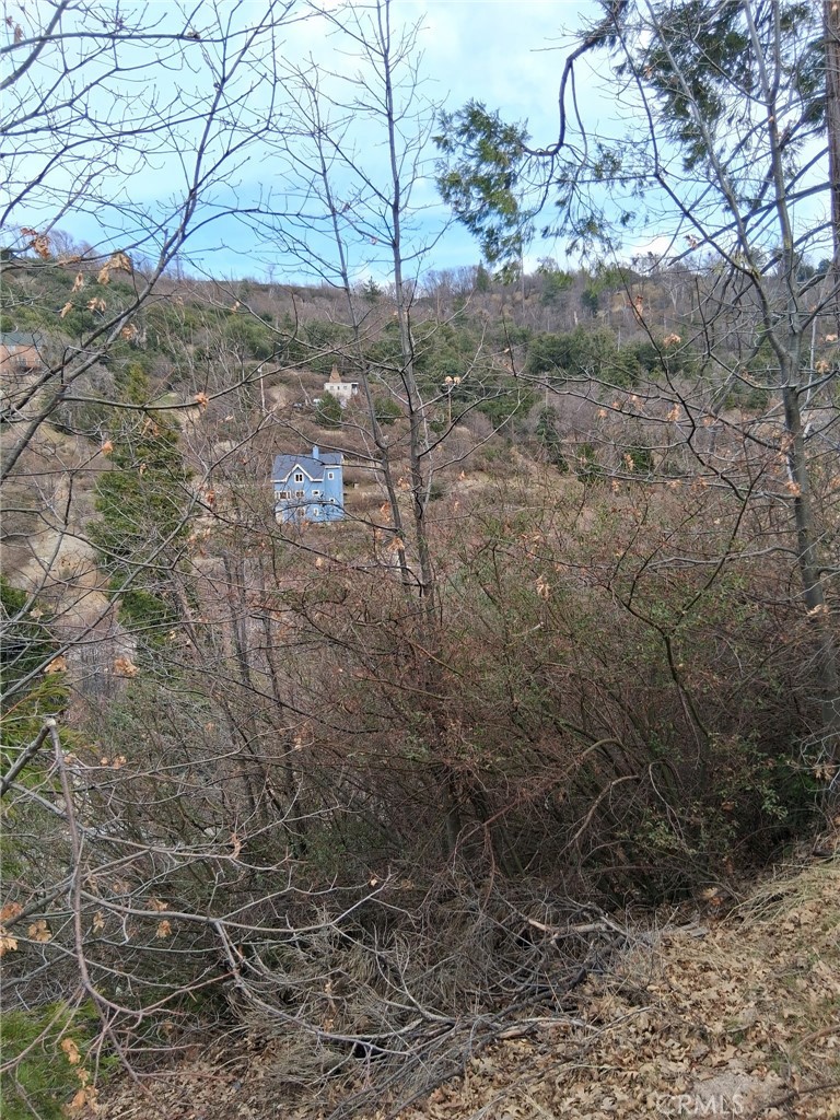 0 Pine Drive Property Photo 5