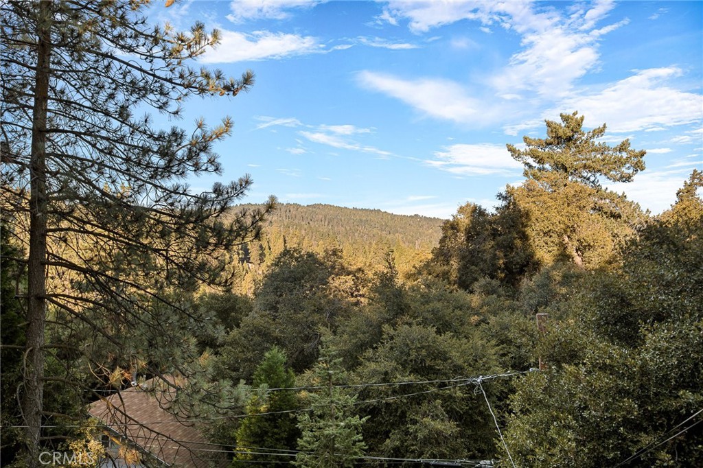 475 Woodsey Road Property Photo 8