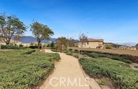 3543 Sugarberry Court Property Photo 28