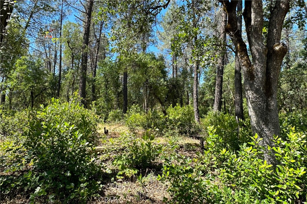 9200 Silver King Road Property Photo
