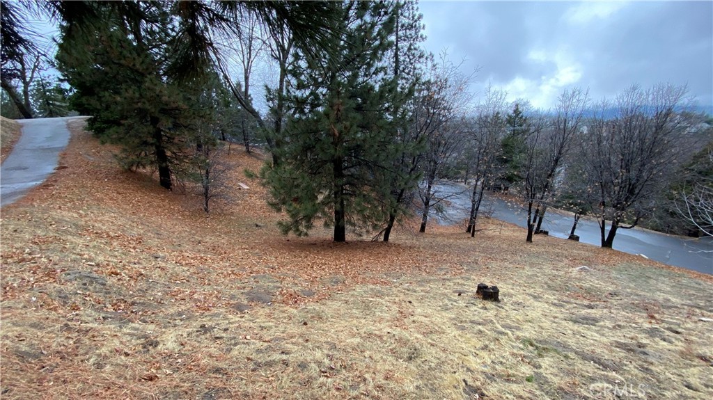 0 St Bernard Lane Property Photo 3