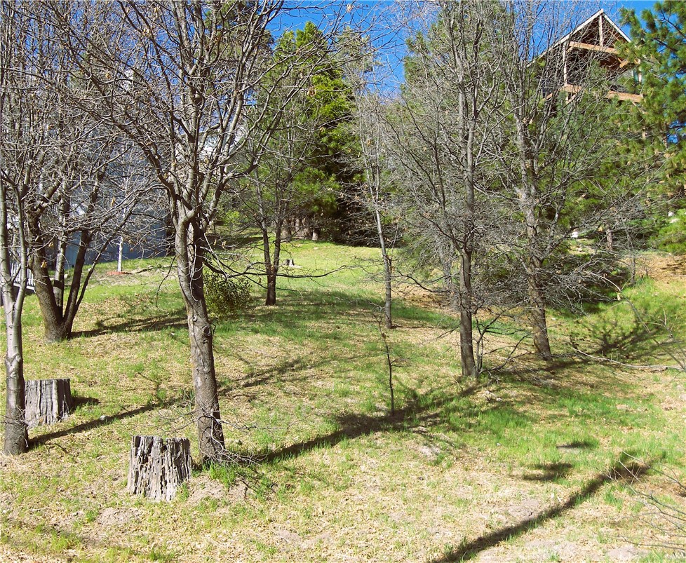 0 St Bernard Lane Property Photo 4