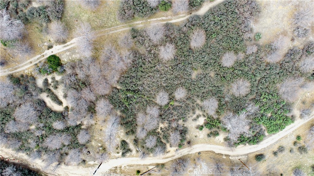 0 Walnut Property Photo 2