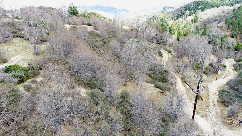 0 Walnut Property Photo 4
