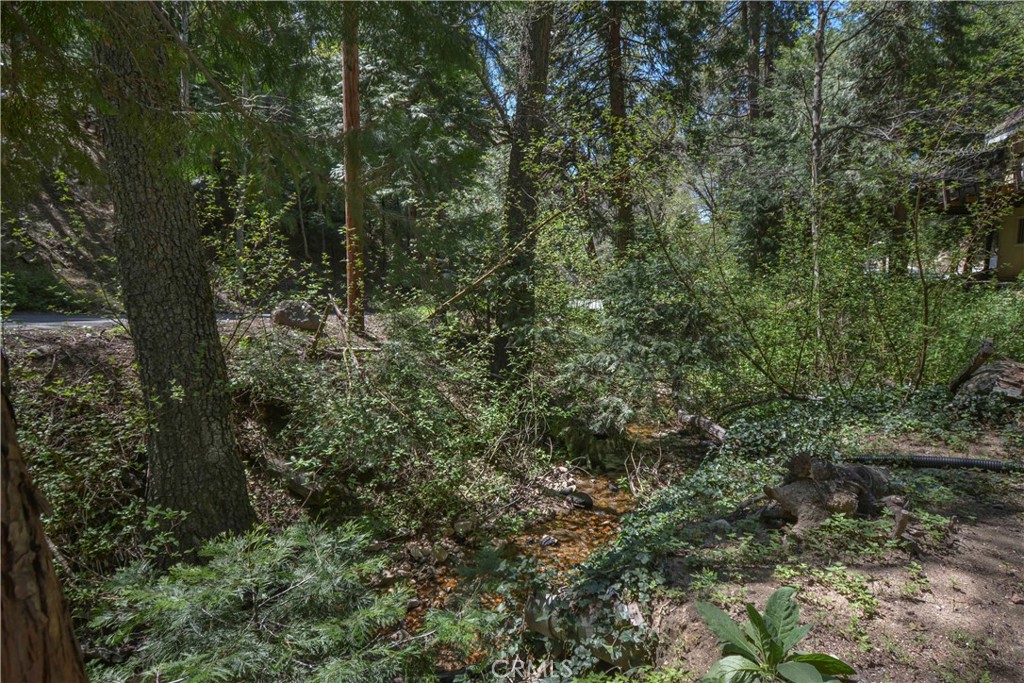 230 Fremont Road Property Photo 16