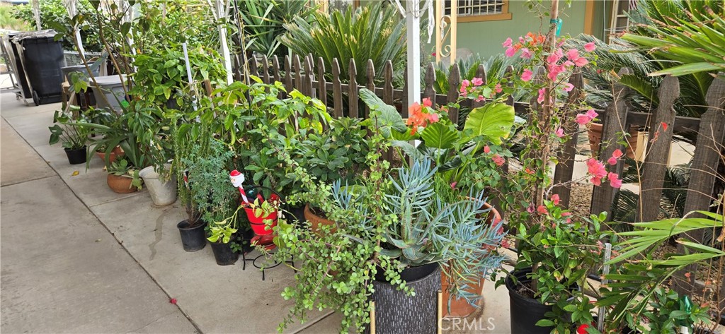 30949 Palmetto Palm Avenue Property Photo 2