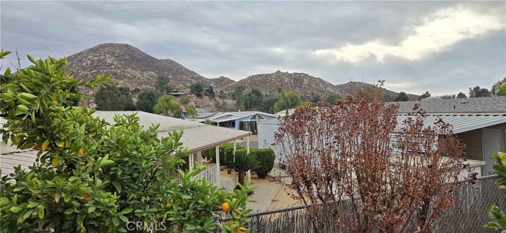 30949 Palmetto Palm Avenue Property Photo 30