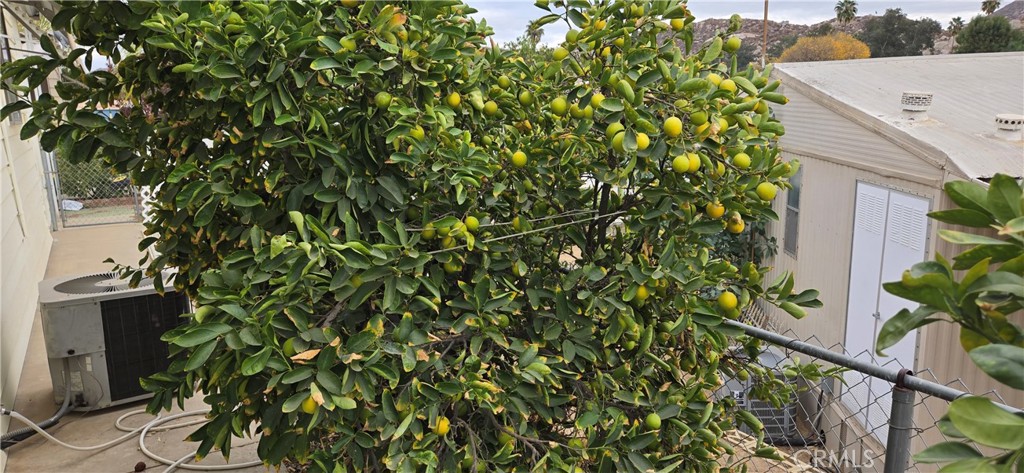 30949 Palmetto Palm Avenue Property Photo 32