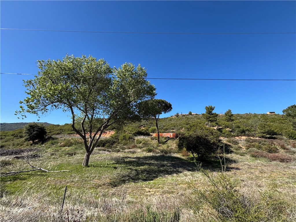 47385 Woodcliff Drive Property Photo 2