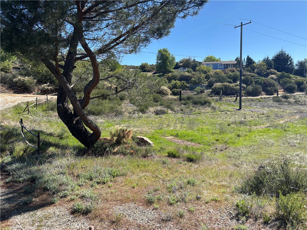 47385 Woodcliff Drive Property Photo 16