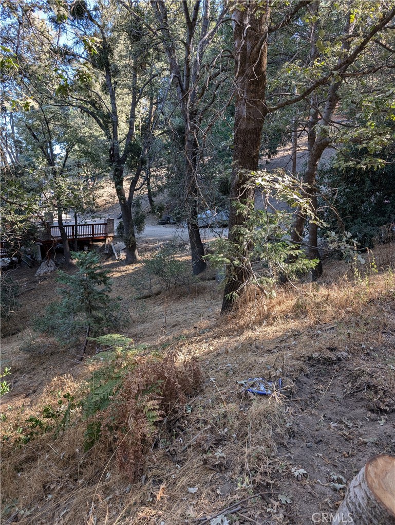 0 Scenic View Property Photo