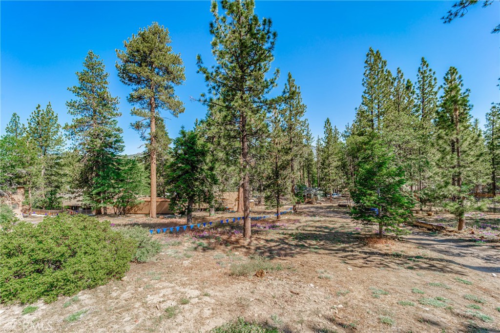 872 Hill Lane Property Photo 10