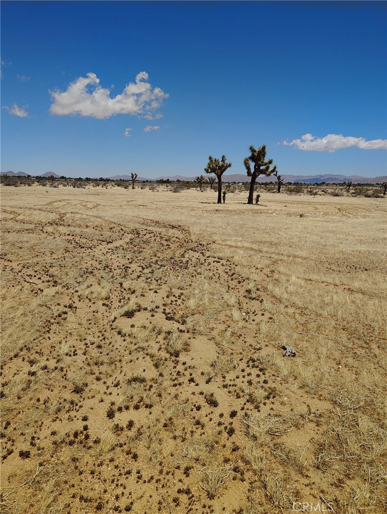 0 Juniper Road Property Photo