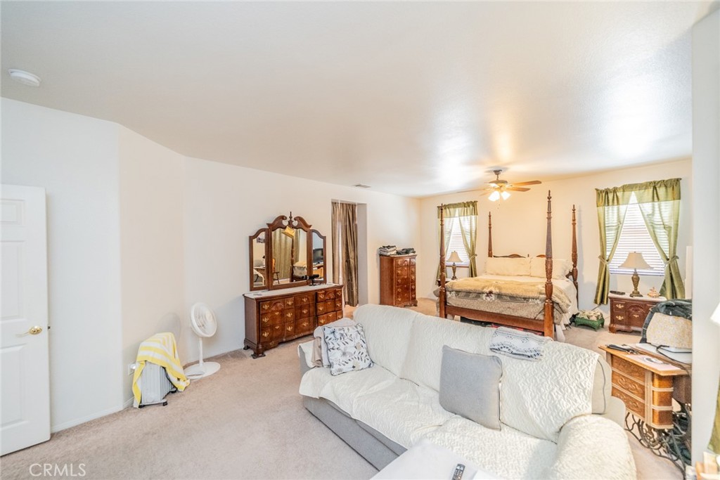 13932 Pinellia Street Property Photo 28