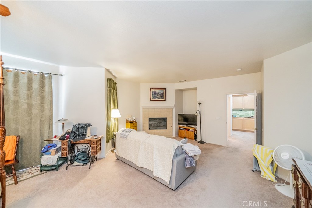 13932 Pinellia Street Property Photo 30