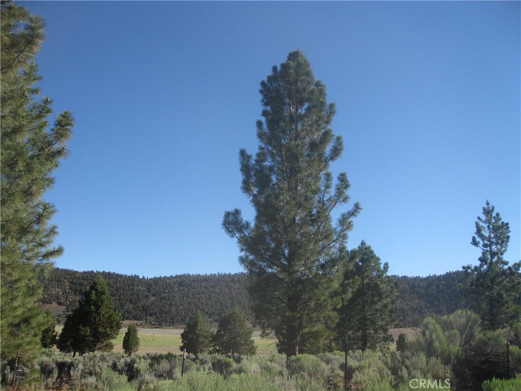 2805 Cedar Lane Property Photo 1
