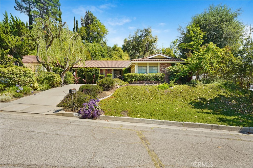 443 La Terraza Street Property Photo 1