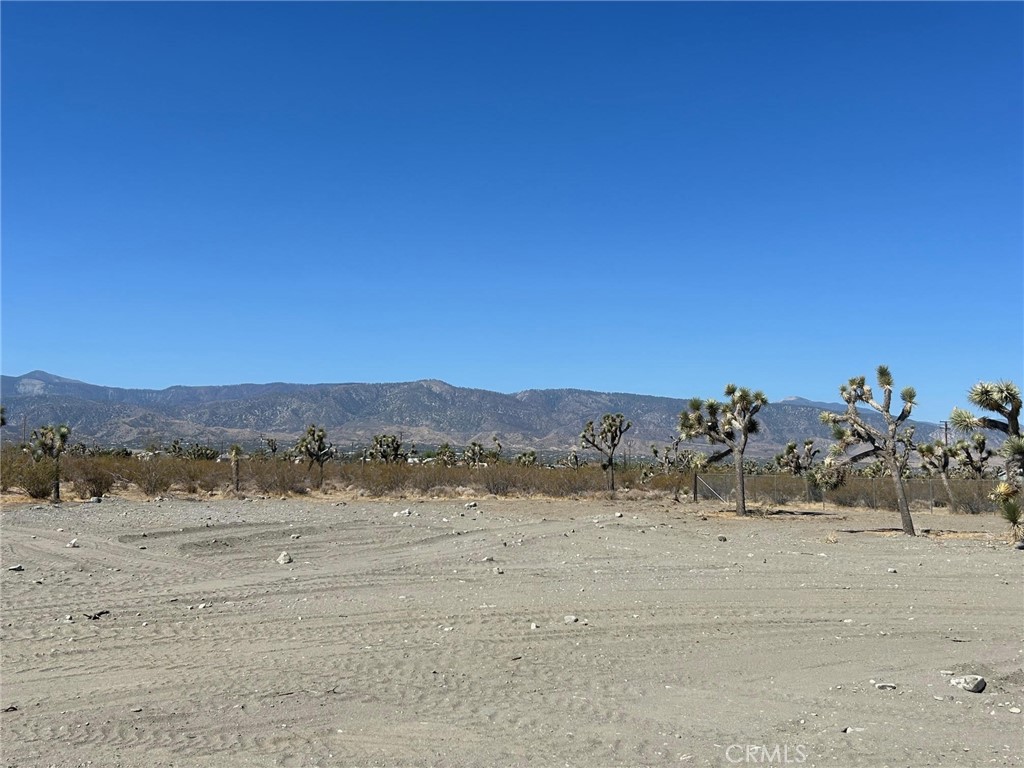 11656 Gitano Road Property Photo 4