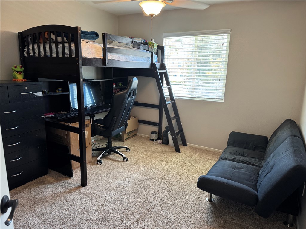 32555 Via Perales Property Photo 38