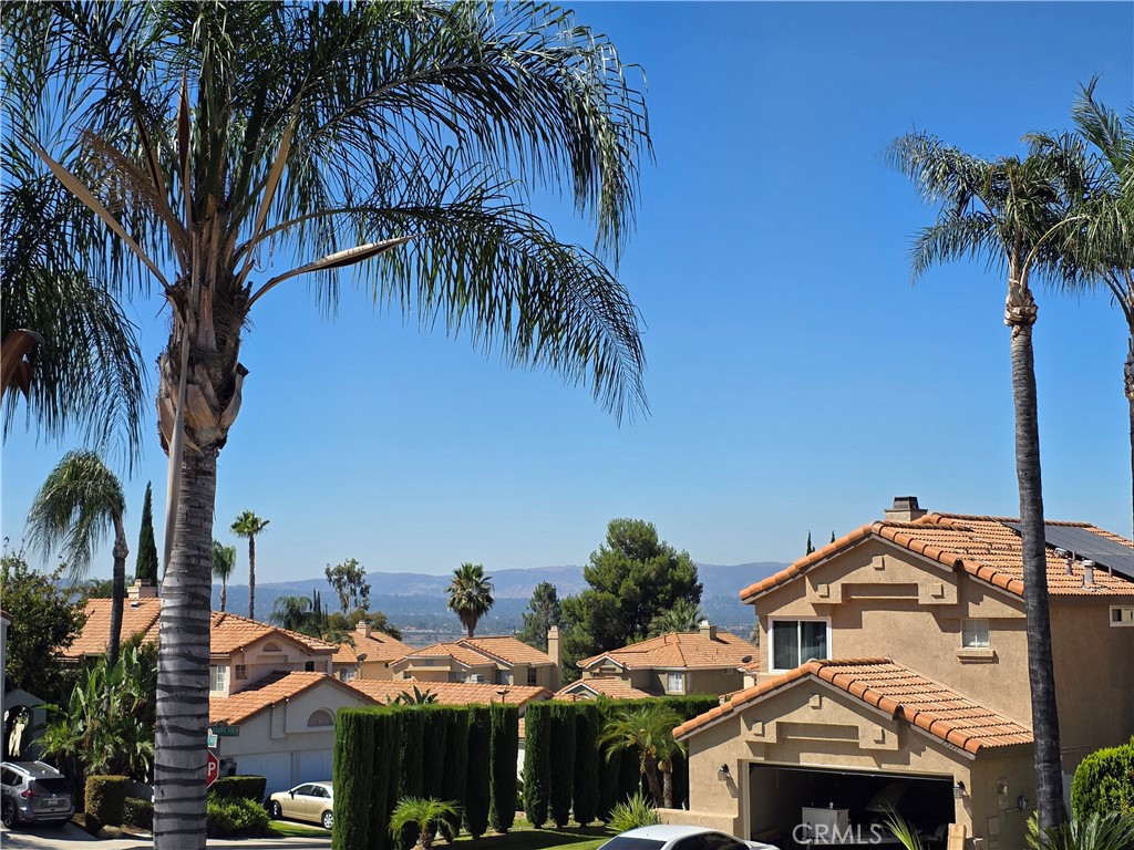 29390 Crest View Lane Property Photo 21