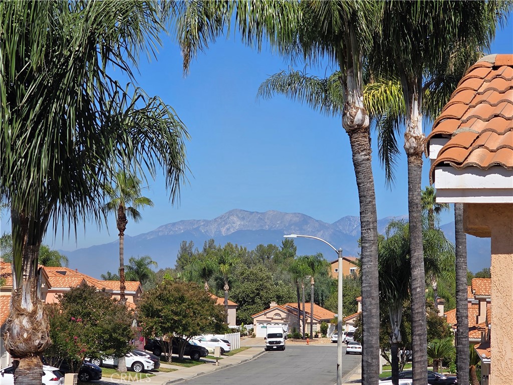 29390 Crest View Lane Property Photo 22