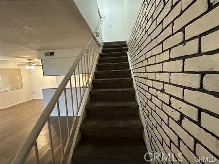 3532 Rainbow Lane Property Photo 6