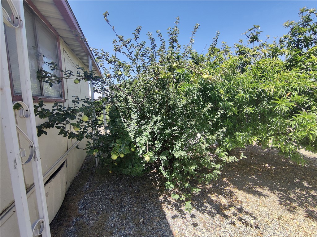 250 N Linden Avenue 223 Property Photo 20