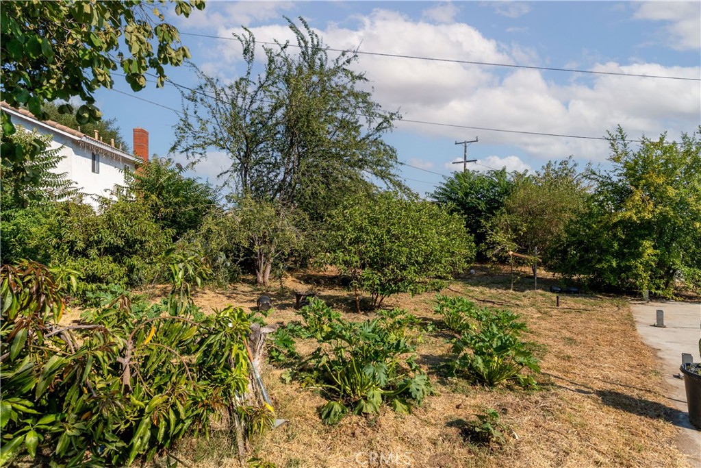 115 S Tamarisk Avenue Property Photo 13