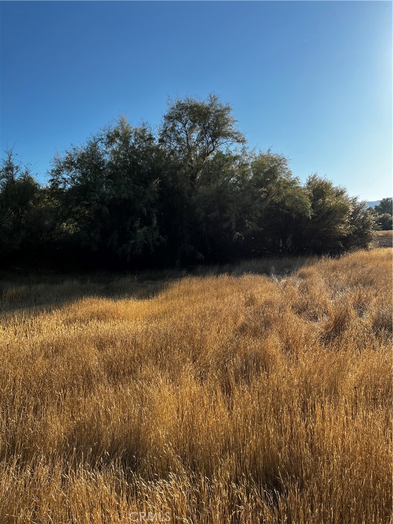 0 Fremont Property Photo 2